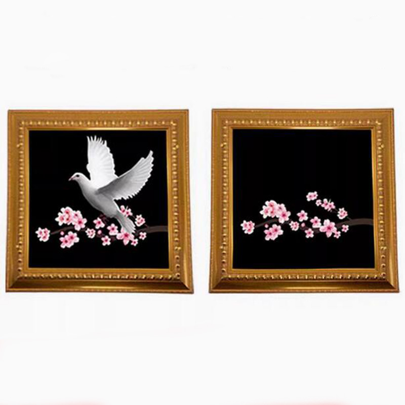 Deluxe Dove Frame Magic Tricks - Photography Trick recension och pris