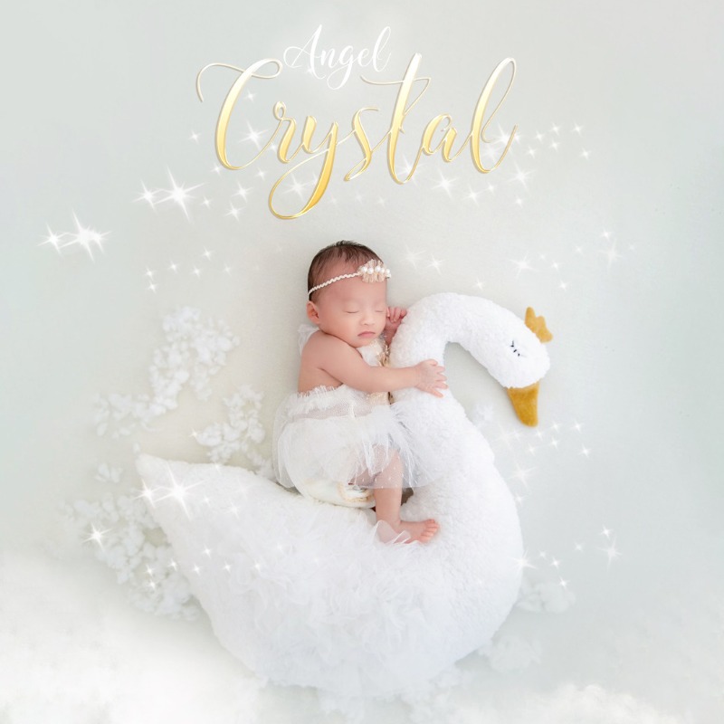 Newborn Photography Prop Swan  - Photography Outfit recension och pris